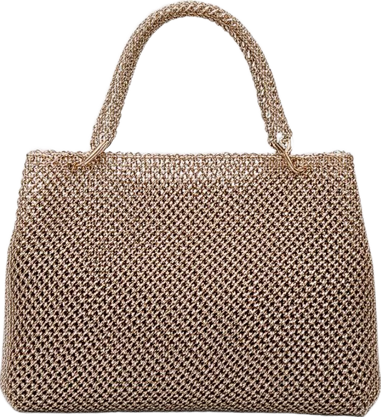 bag: Atlas & Co Metal Mesh Structured Bag