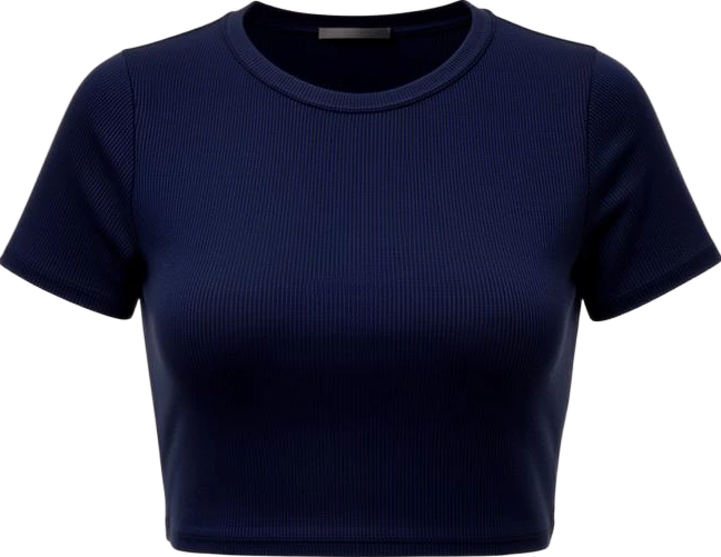 top: Atlas & Co Ribbed Cropped Top