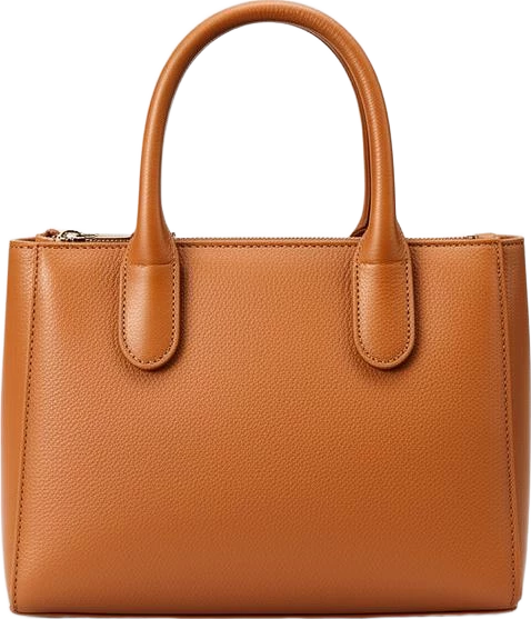 bag: Lumen Studio Structured Leather Mini Tote