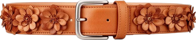 accessory: Northwind Floral Embellished Leather Effect Belt