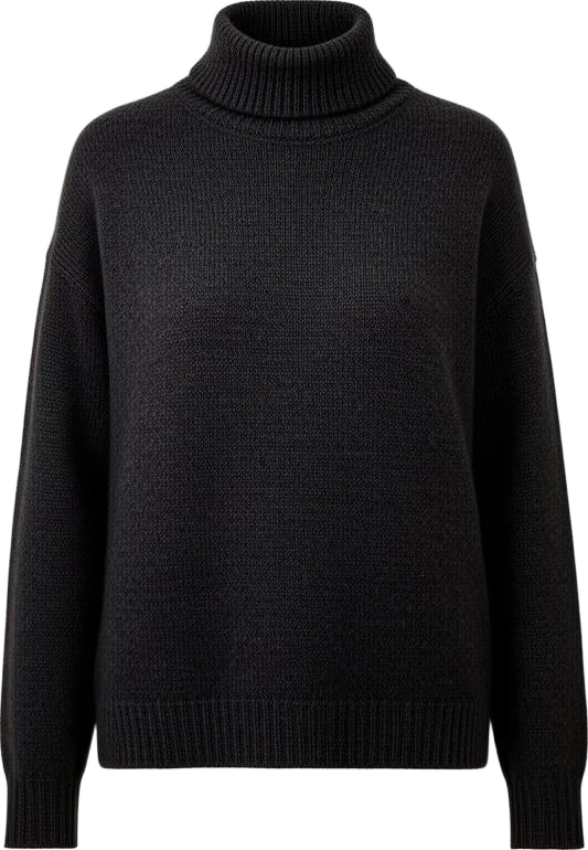 top: Northwind Wool High Neck Knit Sweater
