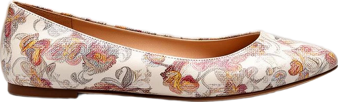 shoes: Lumen Studio Printed Leather Ballet Flats