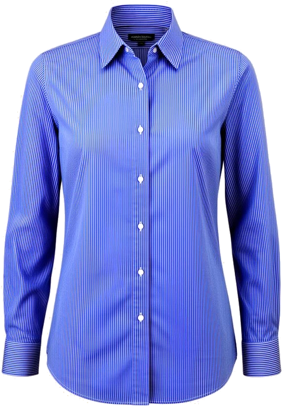top: Lumen Studio Striped Classic Oxford Shirt